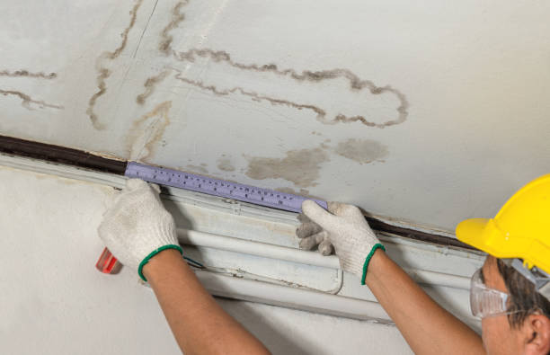 Reliable Structural Drying contractor in Portland, MI by Water Damage Irwin